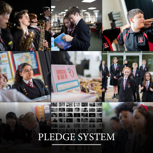 pledge system