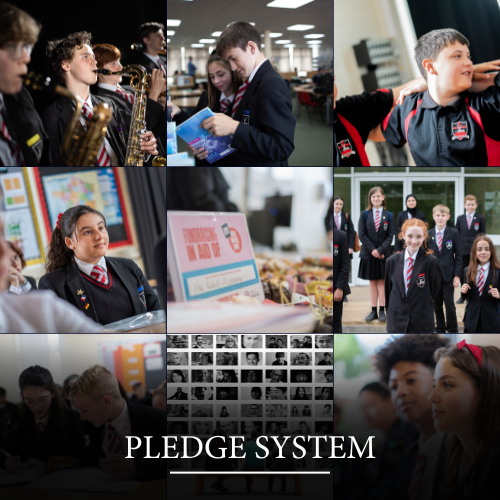 pledge system tile